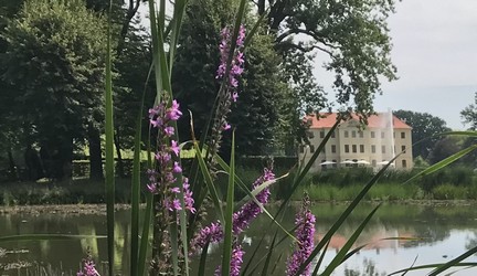 Spazierengehen im Park